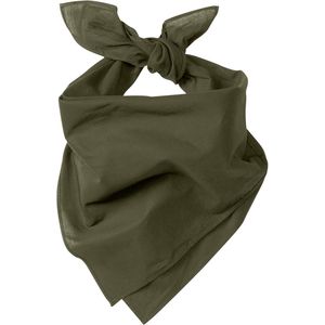 Olive Drab Grn AIM-1286181