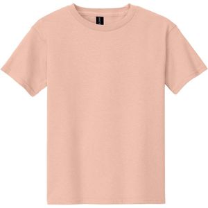 DustyRose AIM-1288647