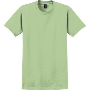 Pistachio AIM-1288731