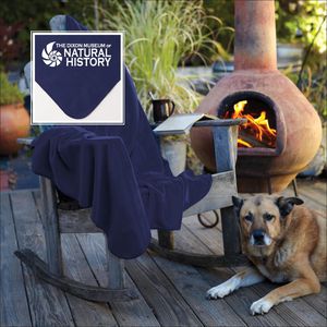 Navy Blue AIM-1304791