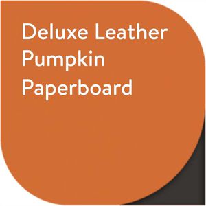 Pumpkin Leather AIM-1311625