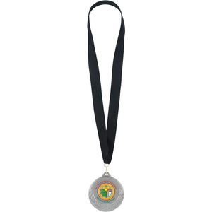 Silver/Black AIM-1321616