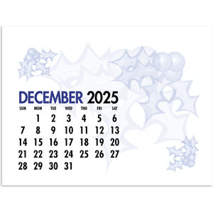 Triumph® Calendars Memo Calendar.2026 AIM-1322036