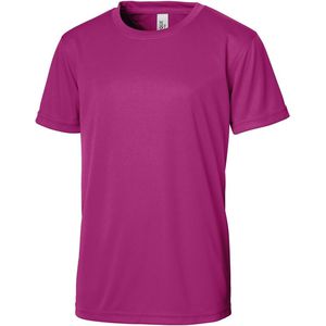 Gala Pink AIM-1331539