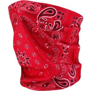 Red Paisley AIM-1333581