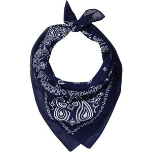 Navy Paisley AIM-1333629