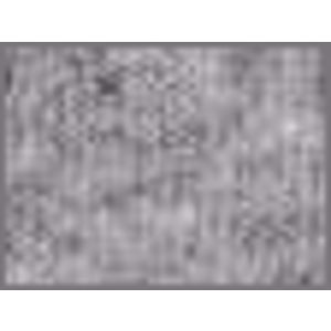 Sport Grey AIM-1334570