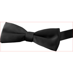 Satin Bow Tie AIM-1340423
