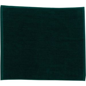 Hunter Green AIM-1341902