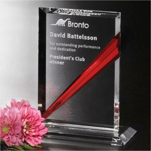 Danbury Ruby Rectangle 6-1/2" AIM-1349371