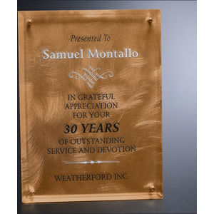 Bronze Alloy Plaque 8" x 10" AIM-1349463