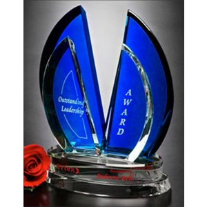 Flight Indigo Award 8" AIM-1349886