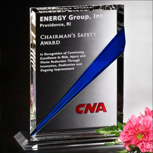 Danbury Indigo Rectangle 8-1/2" AIM-1349888