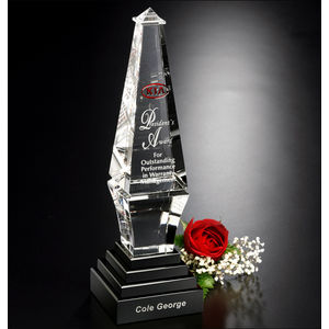 Epitome Award 10-1/2" AIM-1349932