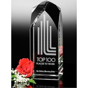 Blenheim Award 10" AIM-1349965