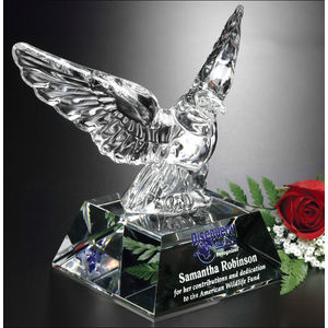 Graceful Eagle 7" AIM-1350014