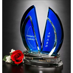 Flight Indigo Award 9" AIM-1350087