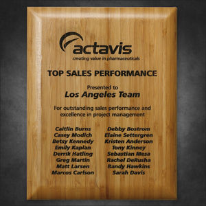 Bamboo Laser Plaque 9" x 12" AIM-1350139
