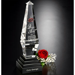 Epitome Award 12" AIM-1350162