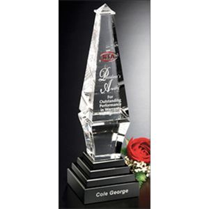 Epitome Award 9" AIM-1350289