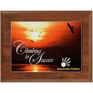 Econo Cherry Plaque 7" x 9" wi AIM-1350425