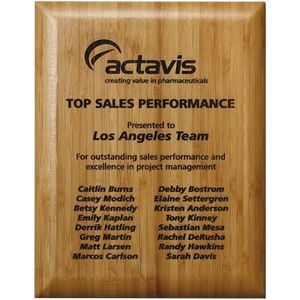Bamboo Laser Plaque 8" x 10" AIM-1350442