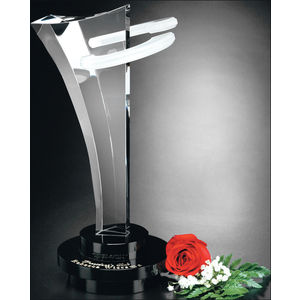 Innovation Award 12" AIM-1350701