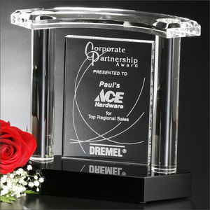 Vanessa Award 7" AIM-1350794