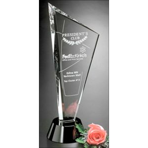 Invincible Award 12" AIM-1350889