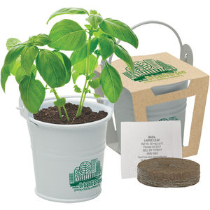 557 White AIM-1359703