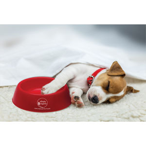 Plastic Pet Bowl AIM-1360144