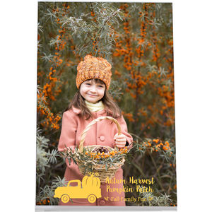 4 x 6 Easel Frame AIM-1360463