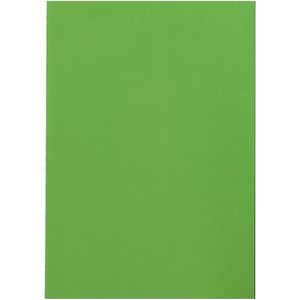 Lime Green AIM-1360506