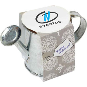 Seed Sensations Watering Can Planter w/H AIM-1360847