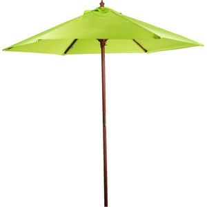 Lime Green AIM-1364519