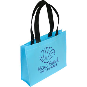 Carolina Blue AIM-1380994