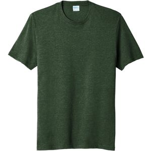 ForestGnHt AIM-1397347