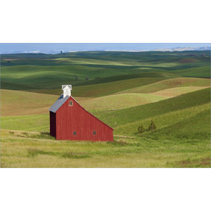 K608 SUMMER BARN AIM-1446101