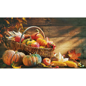 K629 BOUNTIFUL HARVEST AIM-1446101