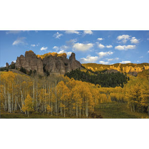 K604 AUTUMN SPLENDOR AIM-1446101