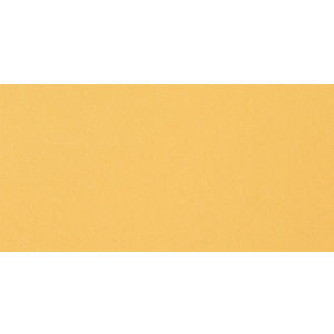 Bright Gold Foam AIM-1446636