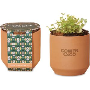 Terracotta AIM-1460156