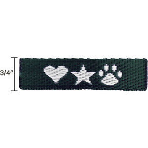 Forest Green Closest To Pms 5535 AIM-1548569