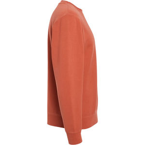 PIGMENT AMBER AIM-1711986