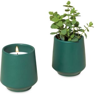 Dark Teal/Thyme AIM-1746566