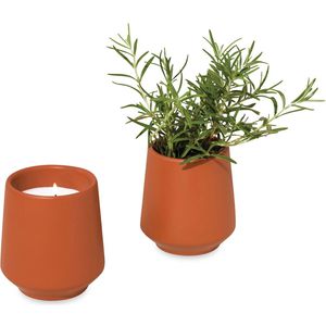 Sienna/Rosemary AIM-1746566