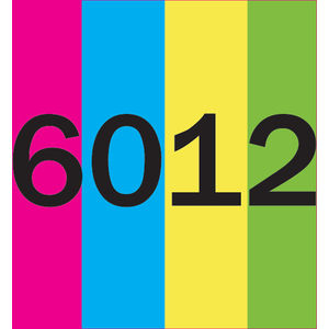 Black on Assort. Neon Colors AIM-1884316