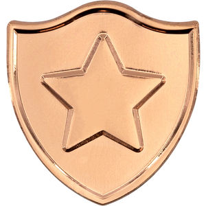 Bright Copper Plating AIM-1900208