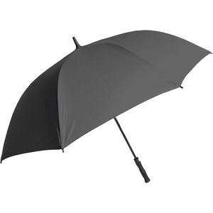 GRAPHITE AIM-1900216