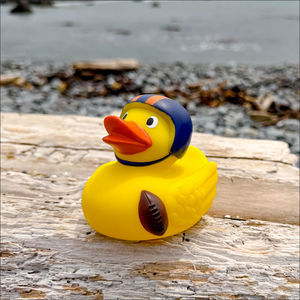 Football Duck AIM-1949905